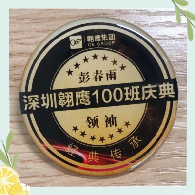 深圳翱鹰百班庆典 礼品袋、胸针设计